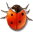 bug